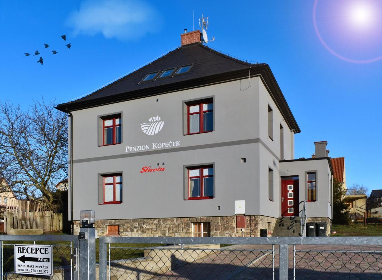 Kopecek - Penzion Ceska Lipa Exterior photo
